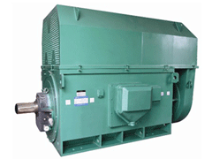 YR5604-10Y系列6KV高压电机