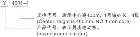 西安泰富西玛Y系列(H355-1000)高压YR5604-10三相异步电机型号说明